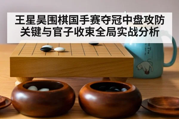 王星昊围棋国手赛夺冠中盘攻防关键与官子收束全局实战分析