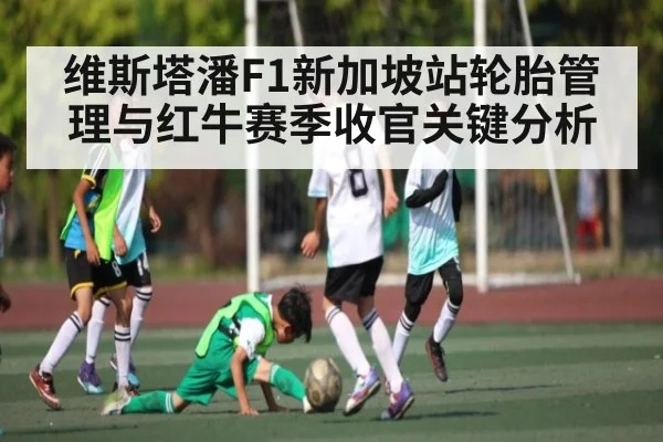 维斯塔潘F1新加坡站轮胎管理与红牛赛季收官关键分析 | PG